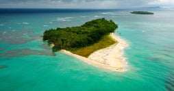 Island to City: Bocas del Toro & Panama