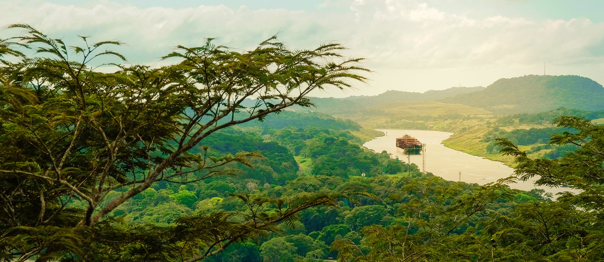 ココバット A TOURIST GUIDE TO COCOBAT+MICHAEL Panama City & Gamboa rainforest