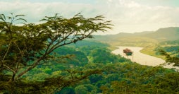 Panama City & Gamboa rainforest