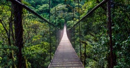 The best of Panama: Canal, Boquete & Bocas