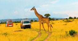 Luxury Safari & All-Inclusive Zanzibar