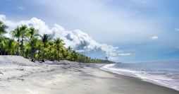 Panama City & All-Inclusive Playa Blanca