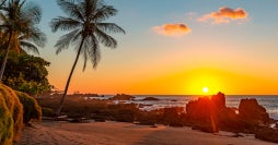 Pura Vida & Paradise in Tamarindo